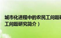 城市化进程中的农民工问题研究（关于城市化进程中的农民工问题研究简介）