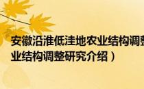 安徽沿淮低洼地农业结构调整研究（关于安徽沿淮低洼地农业结构调整研究介绍）