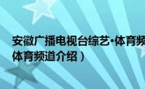 安徽广播电视台综艺·体育频道（关于安徽广播电视台综艺·体育频道介绍）