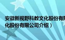 安徽新视野科教文化股份有限公司（关于安徽新视野科教文化股份有限公司介绍）