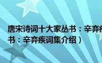 唐宋诗词十大家丛书：辛弃疾词集（关于唐宋诗词十大家丛书：辛弃疾词集介绍）