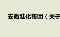 安徽淮化集团（关于安徽淮化集团介绍）