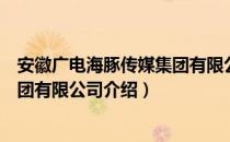 安徽广电海豚传媒集团有限公司（关于安徽广电海豚传媒集团有限公司介绍）