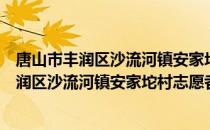 唐山市丰润区沙流河镇安家坨村志愿者小队（关于唐山市丰润区沙流河镇安家坨村志愿者小队介绍）