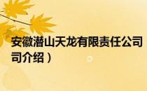 安徽潜山天龙有限责任公司（关于安徽潜山天龙有限责任公司介绍）