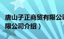 唐山子正商贸有限公司（关于唐山子正商贸有限公司介绍）