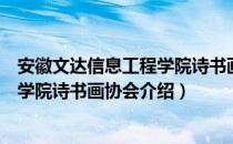 安徽文达信息工程学院诗书画协会（关于安徽文达信息工程学院诗书画协会介绍）