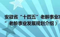 安徽省“十四五”老龄事业发展规划（关于安徽省“十四五”老龄事业发展规划介绍）