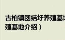 古柏镇团结圩养殖基地（关于古柏镇团结圩养殖基地介绍）