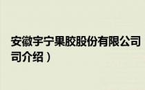 安徽宇宁果胶股份有限公司（关于安徽宇宁果胶股份有限公司介绍）