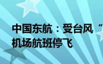 中国东航：受台风“梅花”影响 长三角多个机场航班停飞