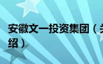 安徽文一投资集团（关于安徽文一投资集团介绍）