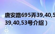 唐安路695弄39,40,53号（关于唐安路695弄39,40,53号介绍）