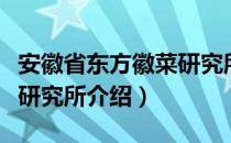 安徽省东方徽菜研究所（关于安徽省东方徽菜研究所介绍）