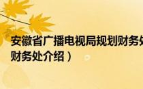 安徽省广播电视局规划财务处（关于安徽省广播电视局规划财务处介绍）