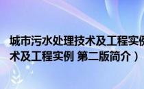 城市污水处理技术及工程实例 第二版（关于城市污水处理技术及工程实例 第二版简介）