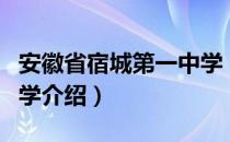 安徽省宿城第一中学（关于安徽省宿城第一中学介绍）