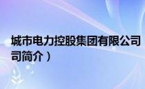 城市电力控股集团有限公司（关于城市电力控股集团有限公司简介）