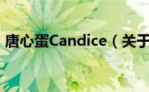 唐心蛋Candice（关于唐心蛋Candice介绍）