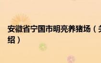 安徽省宁国市明亮养猪场（关于安徽省宁国市明亮养猪场介绍）