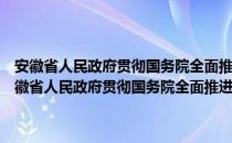 安徽省人民政府贯彻国务院全面推进依法行政实施纲要的意见（关于安徽省人民政府贯彻国务院全面推进依法行政实施纲要的意见介绍）