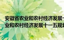 安徽省农业和农村经济发展十一五规划纲要（关于安徽省农业和农村经济发展十一五规划纲要介绍）