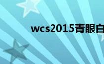 wcs2015青眼白龙（wcs2015）