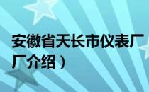 安徽省天长市仪表厂（关于安徽省天长市仪表厂介绍）