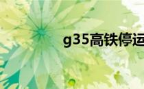 g35高铁停运（g35高铁）