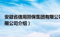 安徽省信用担保集团有限公司（关于安徽省信用担保集团有限公司介绍）