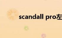 scandall pro左边预览怎么恢复