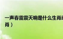 一声春雷震天响是什么生肖动物（一声春雷震天响是什么生肖）