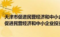 天津市促进民营经济和中小企业投资发展政策（关于天津市促进民营经济和中小企业投资发展政策简介）