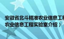 安徽省北斗精准农业信息工程实验室（关于安徽省北斗精准农业信息工程实验室介绍）