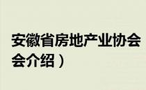 安徽省房地产业协会（关于安徽省房地产业协会介绍）