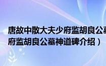 唐故中散大夫少府监胡良公墓神道碑（关于唐故中散大夫少府监胡良公墓神道碑介绍）