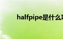 halfpipe是什么项目（halfpipe）