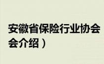 安徽省保险行业协会（关于安徽省保险行业协会介绍）