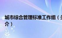 城市综合管理标准工作组（关于城市综合管理标准工作组简介）