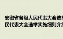 安徽省各级人民代表大会选举实施细则（关于安徽省各级人民代表大会选举实施细则介绍）