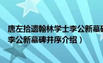 唐左拾遗翰林学士李公新墓碑并序（关于唐左拾遗翰林学士李公新墓碑并序介绍）