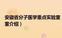 安徽省分子医学重点实验室（关于安徽省分子医学重点实验室介绍）