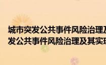 城市突发公共事件风险治理及其实现机制研究（关于城市突发公共事件风险治理及其实现机制研究简介）