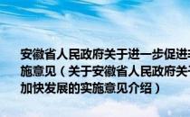 安徽省人民政府关于进一步促进非公有制经济和中小企业加快发展的实施意见（关于安徽省人民政府关于进一步促进非公有制经济和中小企业加快发展的实施意见介绍）