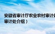 安徽省审计厅农业农村审计处（关于安徽省审计厅农业农村审计处介绍）