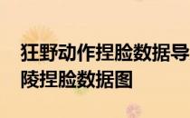 狂野动作捏脸数据导入不起作用-如何导入建陵捏脸数据图 