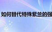 如何替代特殊紫兰的强度和普适性？是谁呀？