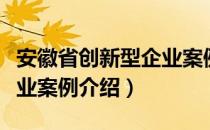 安徽省创新型企业案例（关于安徽省创新型企业案例介绍）