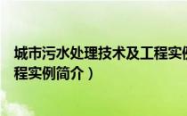 城市污水处理技术及工程实例（关于城市污水处理技术及工程实例简介）