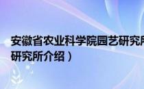 安徽省农业科学院园艺研究所（关于安徽省农业科学院园艺研究所介绍）